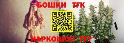 СК Можга