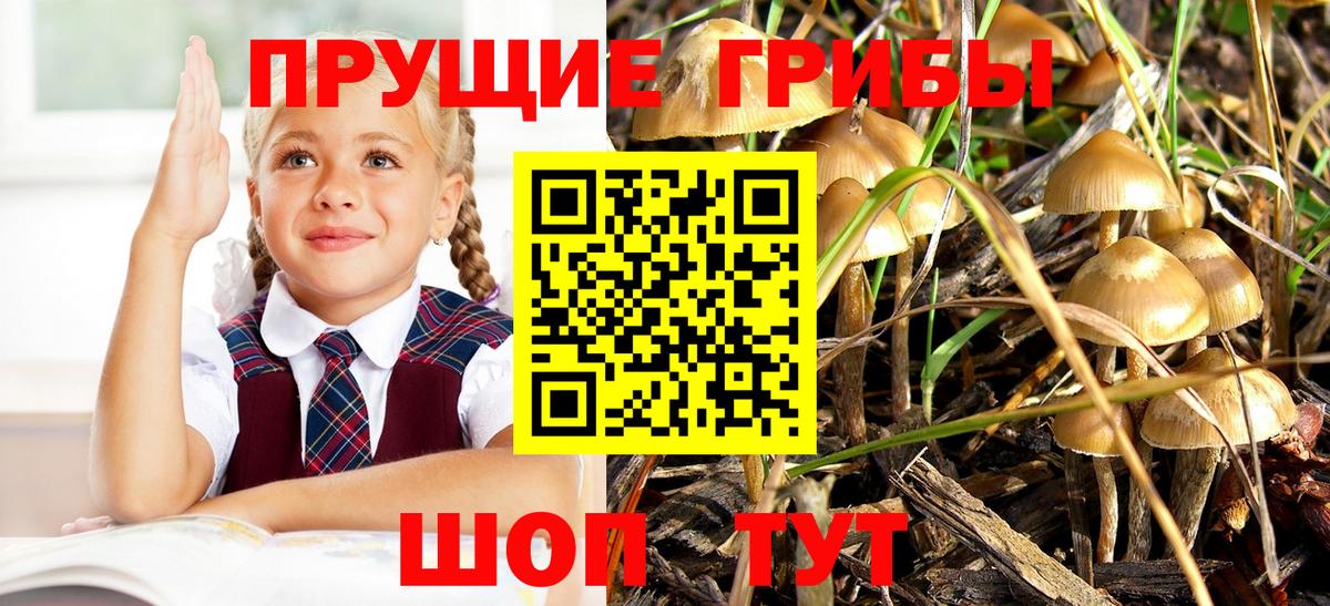 Галлюциногенные грибы мицелий Дивногорск