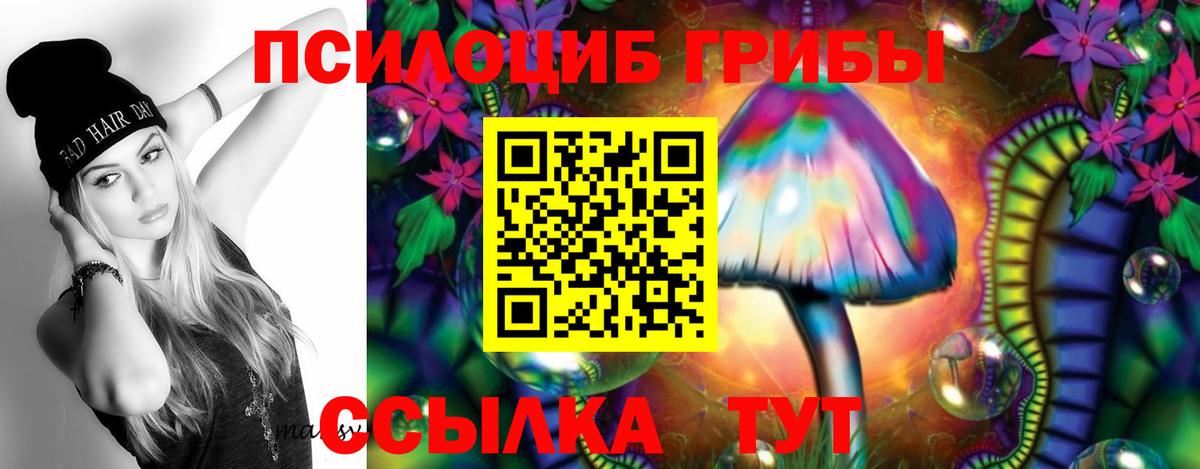 что такое   Галлюциногенные грибы GOLDEN TEACHER  Вход с VPN  Дивногорск 